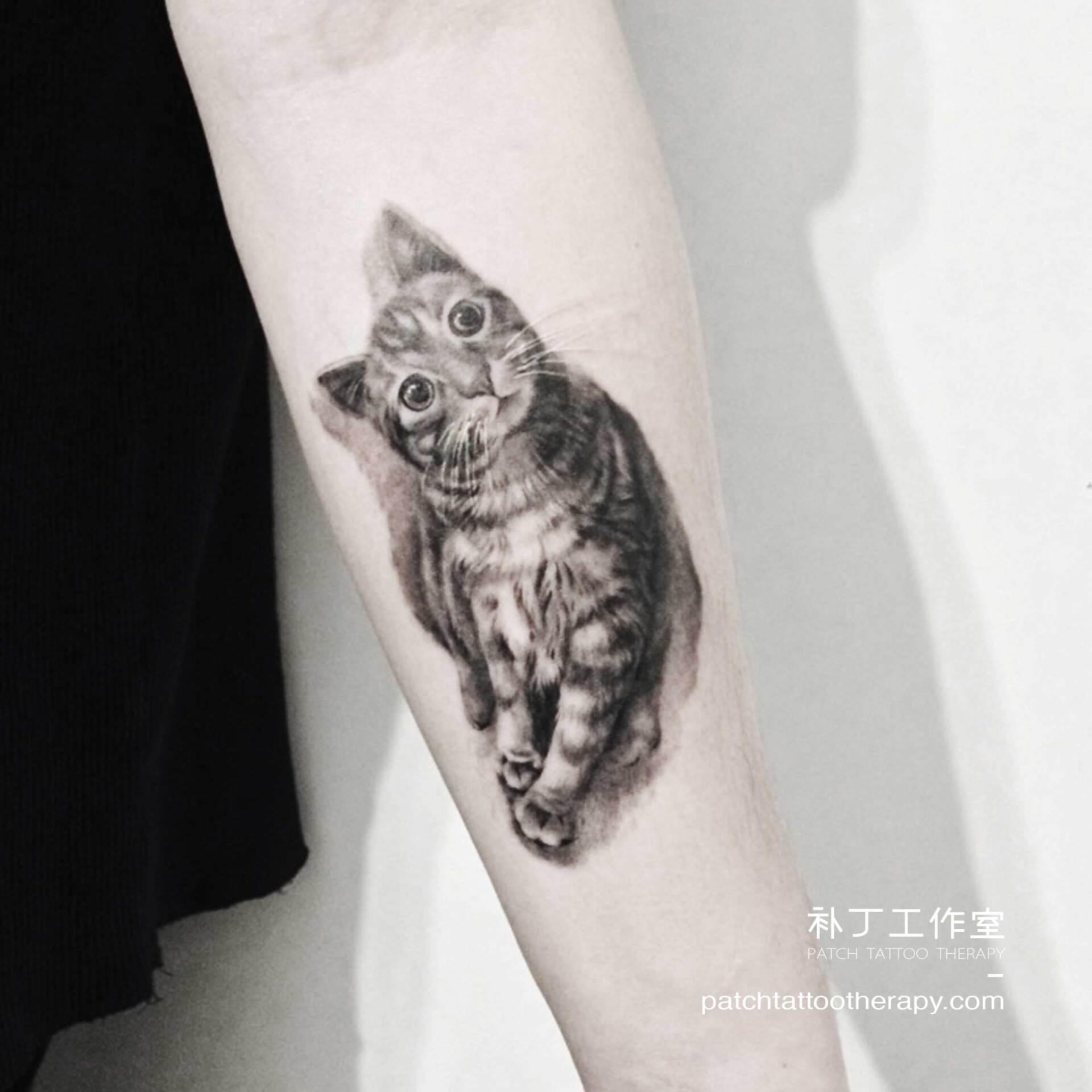 Inner forearm tattoo of a curious cat in black and grey realistic style designed by Jingxi Gu at Patch Tattoo Therapy