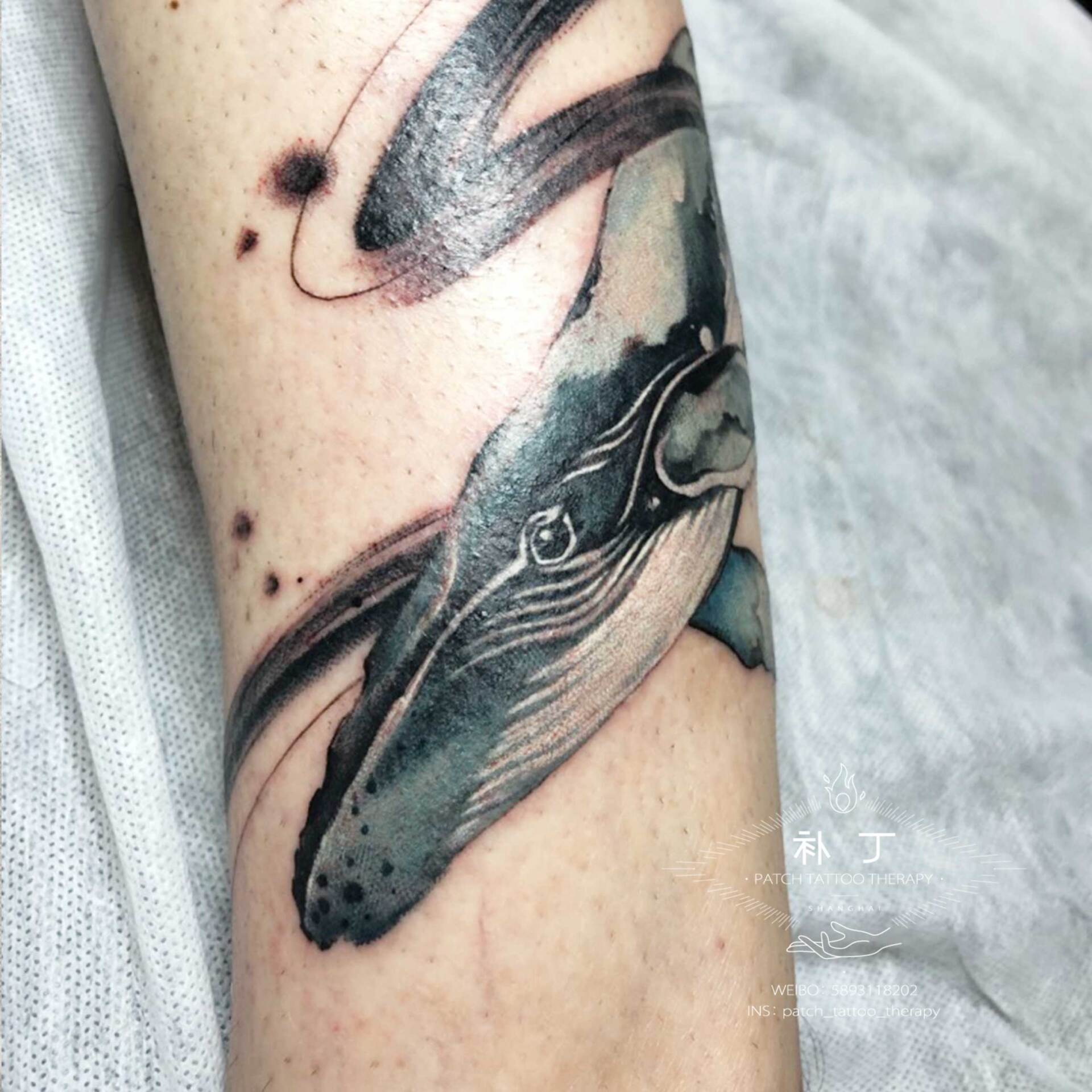 Calf leg tattoo of a deer and whale in Chinese Painting style designed by Jingxi Gu at Patch Tattoo Therapy - angle 2