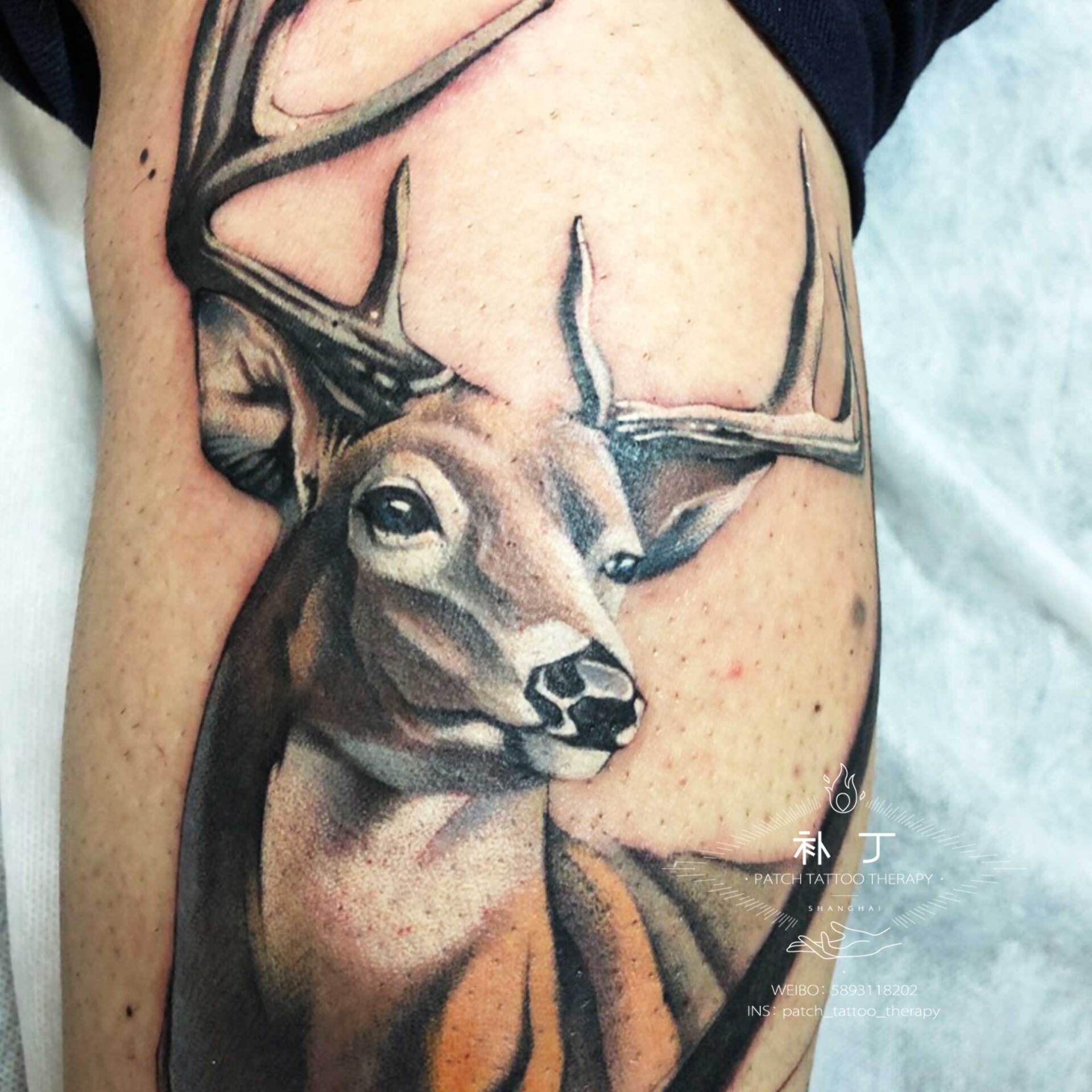 Calf leg tattoo of a deer and whale in Chinese Painting style designed by Jingxi Gu at Patch Tattoo Therapy - angle 3