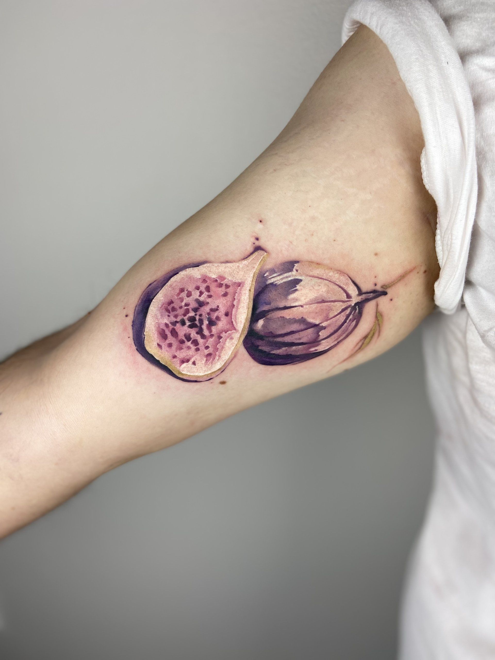 Inner arm tattoo of two figs in Chinese Painting style designed by Jingxi Gu at Patch Tattoo Therapy - angle 1