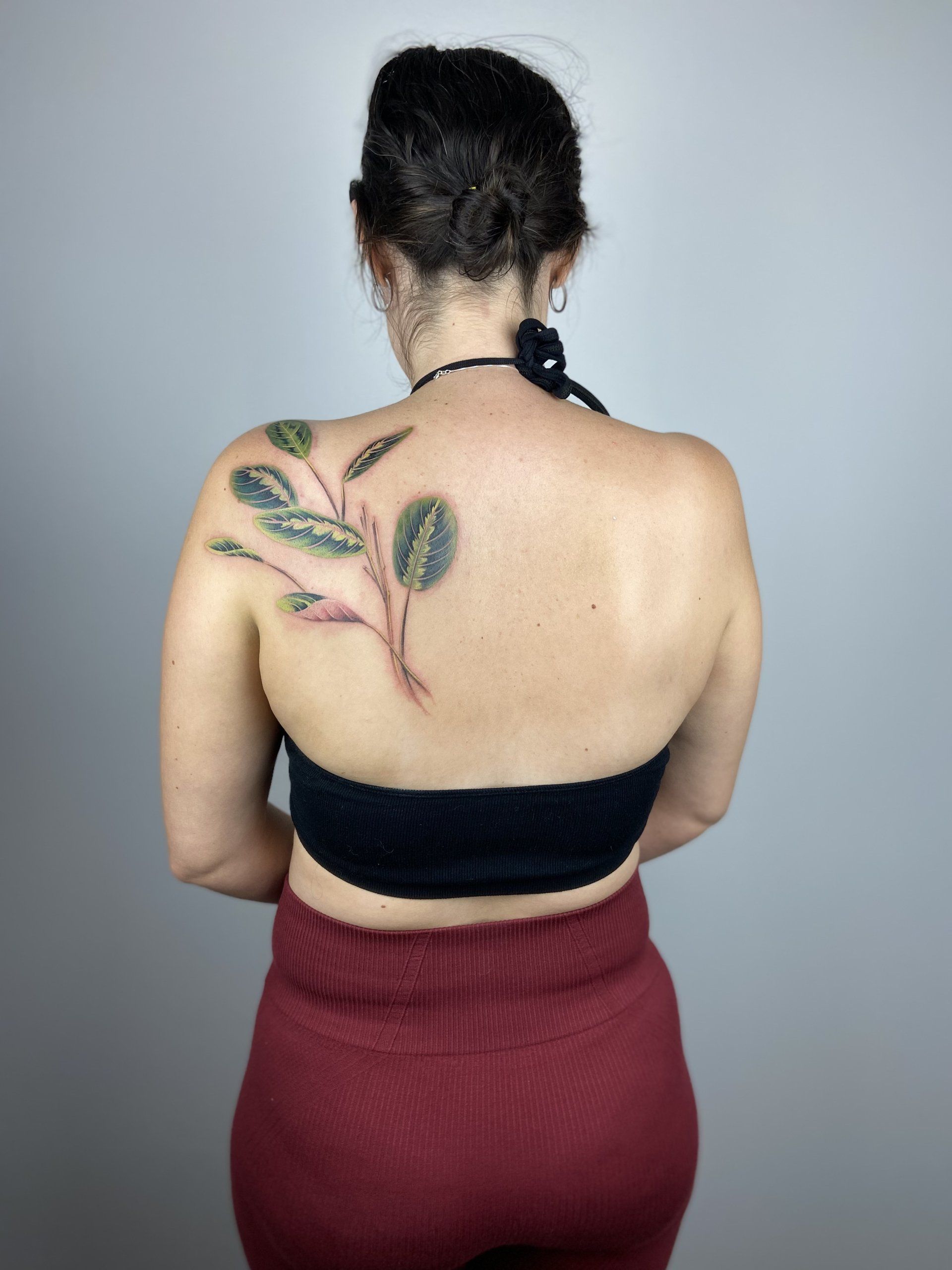 Back Shoulder tattoo of a prayer plant in Chinese Painting style designed by Jingxi Gu at Patch Tattoo Therapy - angle 2