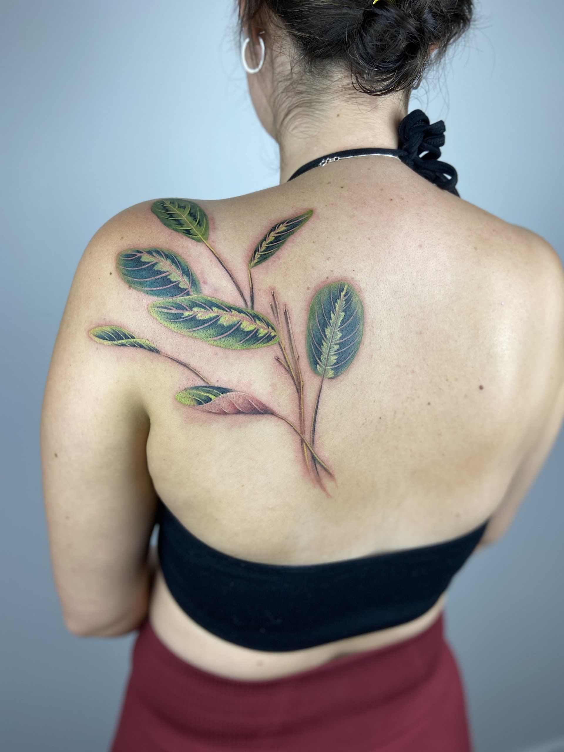 Back Shoulder tattoo of a prayer plant in Chinese Painting style designed by Jingxi Gu at Patch Tattoo Therapy - angle 1