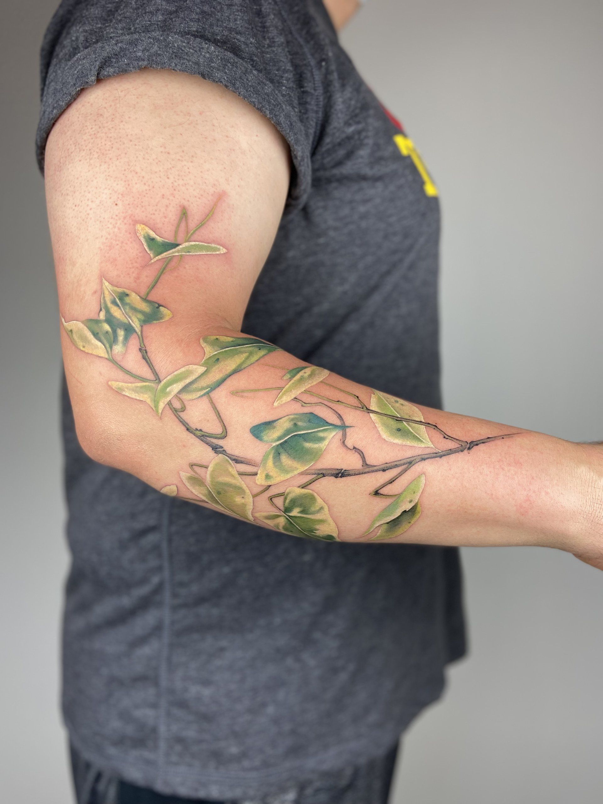 Partial sleeve tattoo of tricolor hoya carnosa plant leaves in Chinese Painting style designed by Jingxi Gu at Patch Tattoo Therapy - angle 1