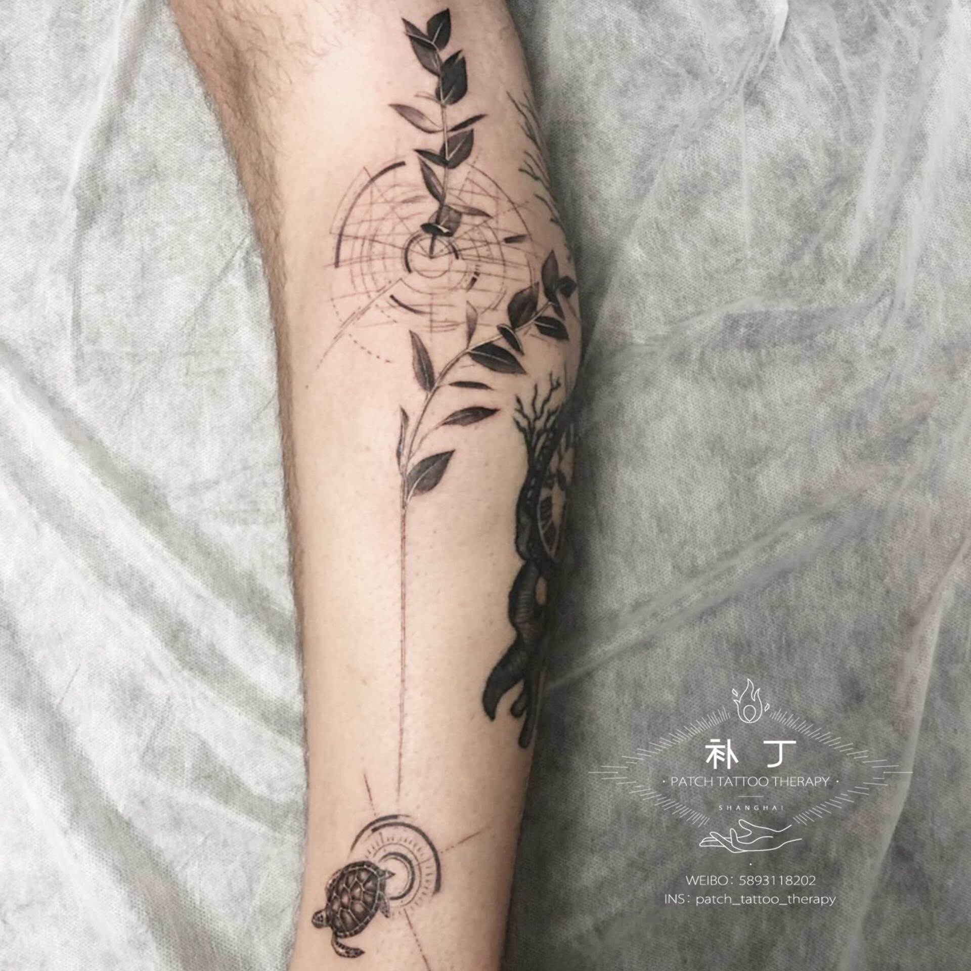 Calf tattoo of a turtle and plants with leaves in geometric style designed by Jingxi Gu at Patch Tattoo Therapy - angle 1