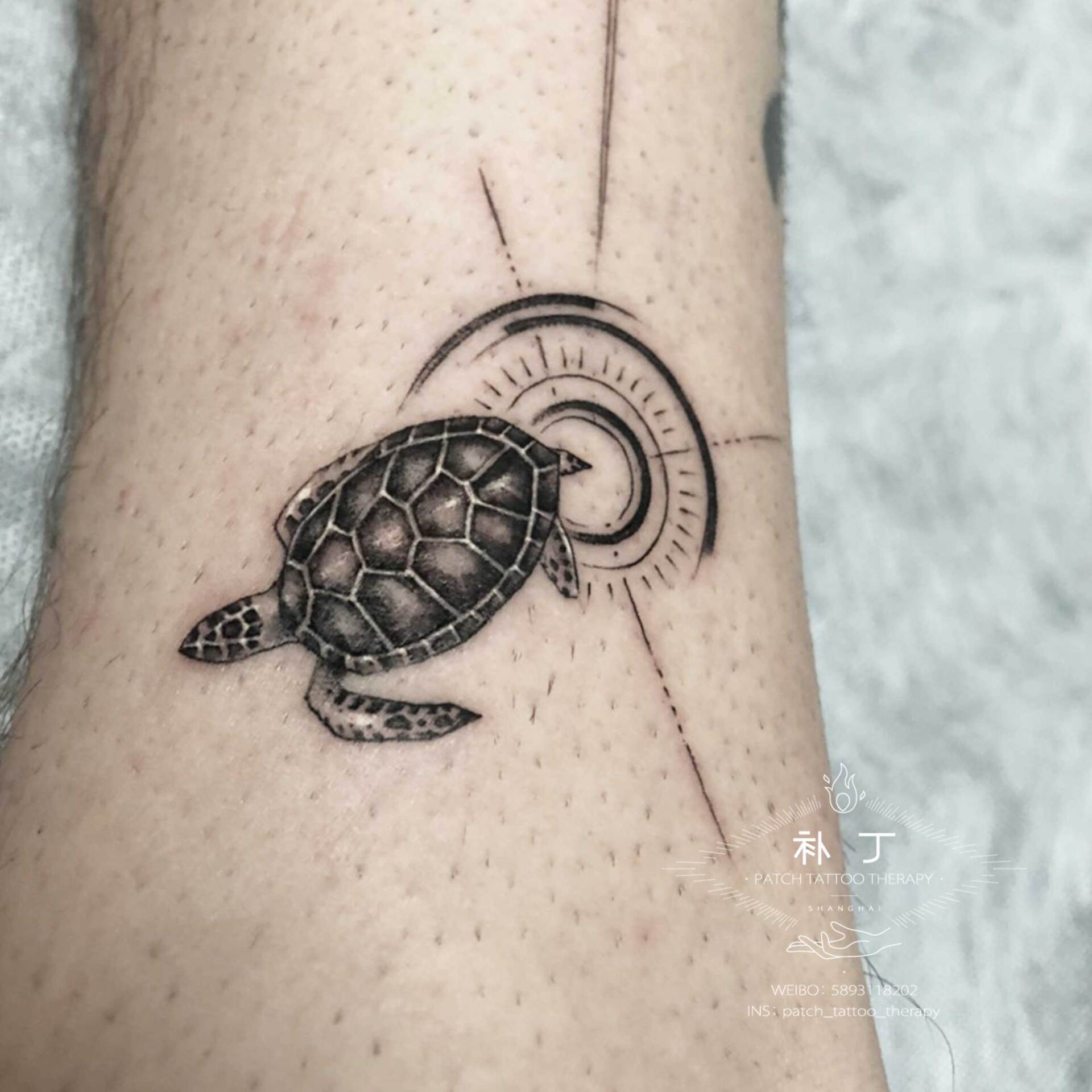 Calf tattoo of a turtle and plants with leaves in geometric style designed by Jingxi Gu at Patch Tattoo Therapy - angle 2