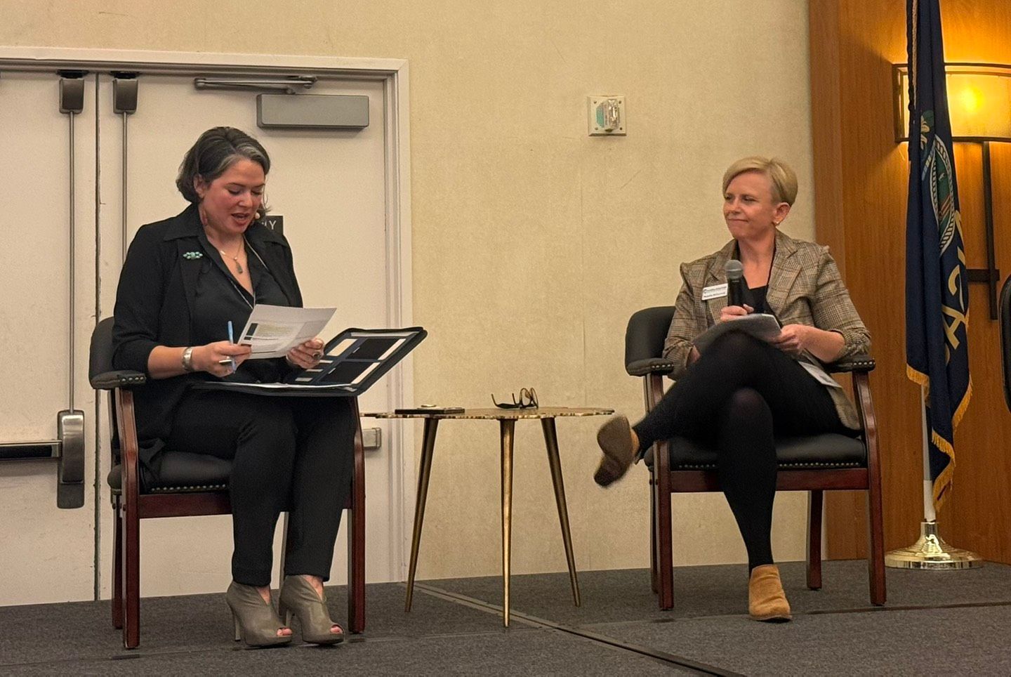 Christina Love and Michelle McCormick speaking during KCSDV training event