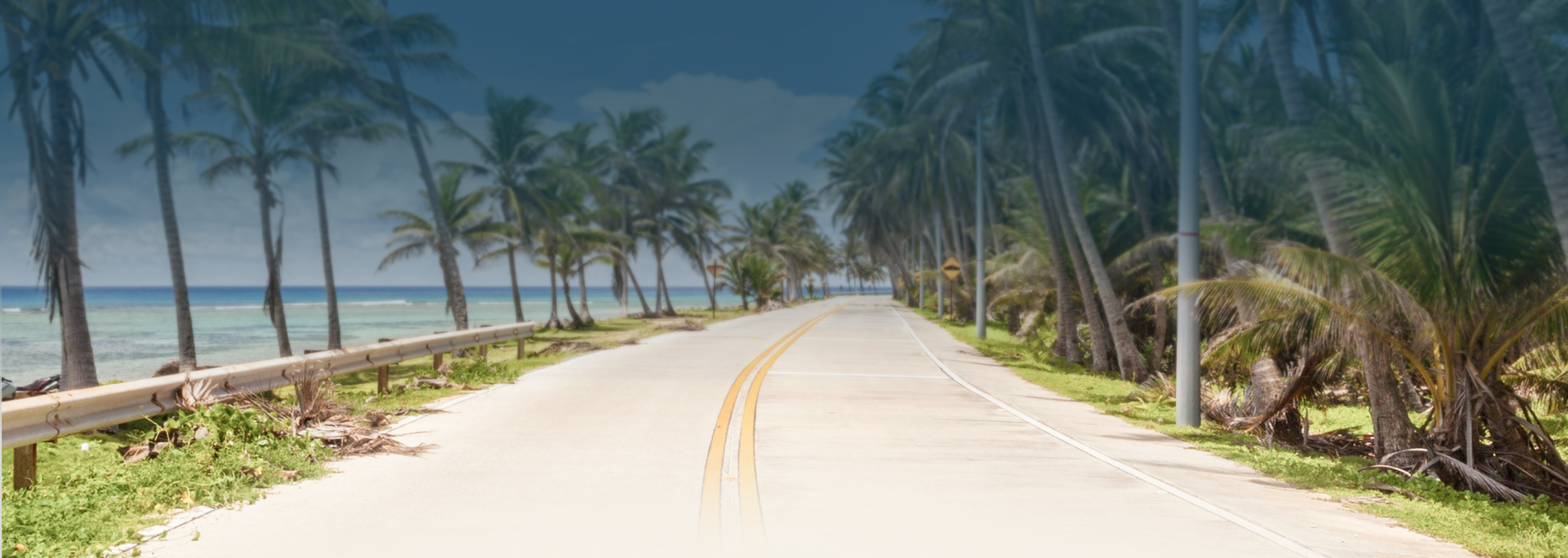 Road lined with palm trees by the ocean | Premier Auto Service Center