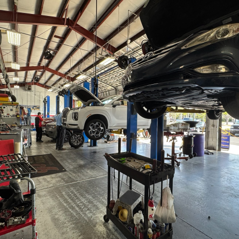 Cars being repaired on lifts in a busy auto repair shop. | Premier Auto Service Center
