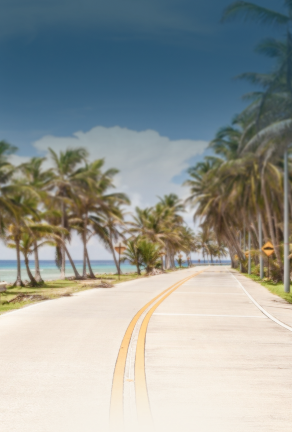 Road lined with palm trees leading to the ocean under a blue sky. | Premier Auto Service Center