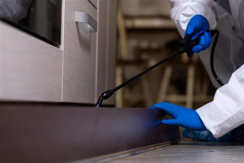 Person in protective gear spraying insecticide along a baseboard in a kitchen.