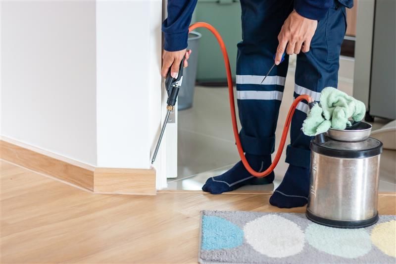 Person in blue uniform sprays insecticide along a baseboard near a doorway.