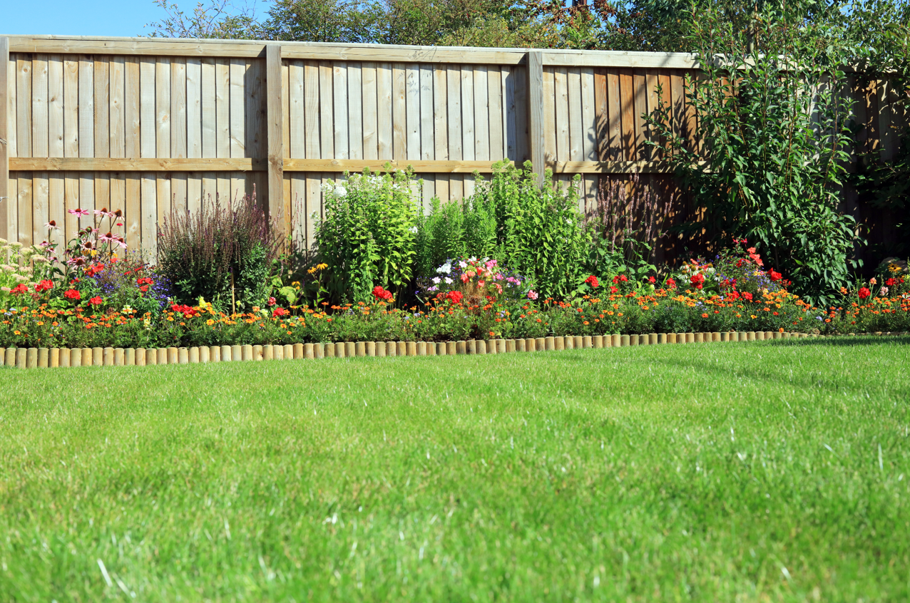 Green lawn in front of a wooden fence with a colorful flower garden border.