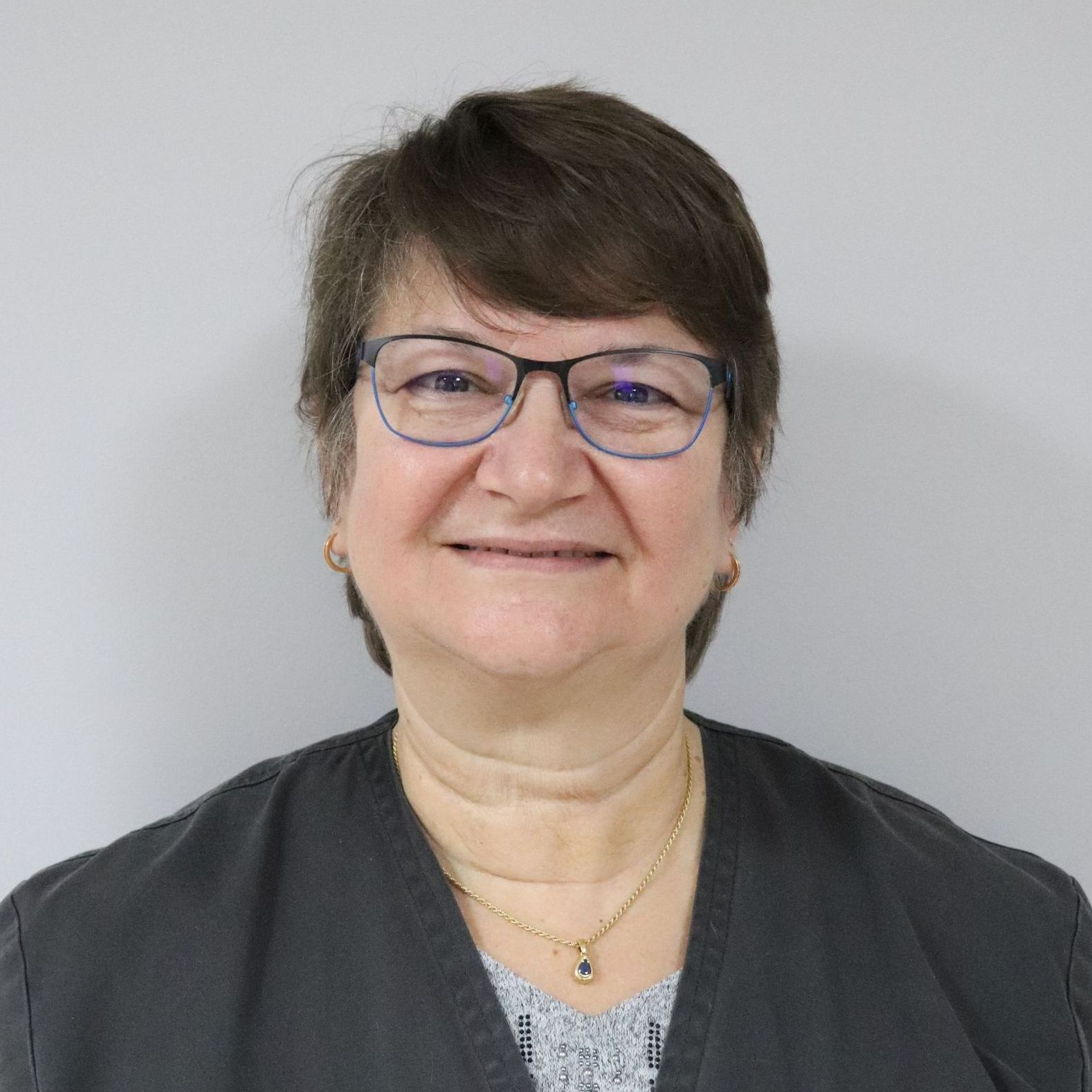 médecine vétérinaire
chirurgie vétérinaire