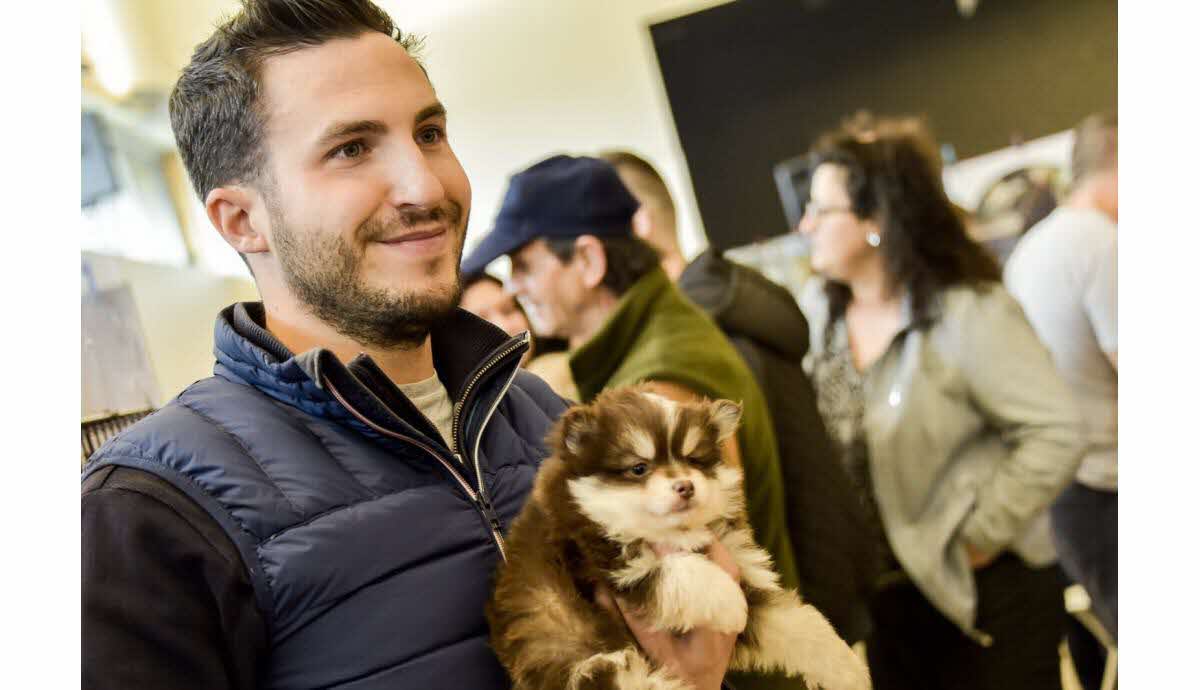 Salon du Chiot