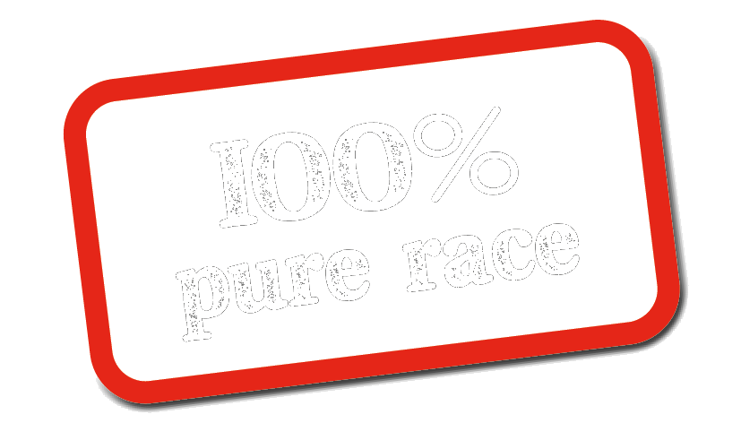 un autocollant rouge et blanc qui dit 100 % pur jus