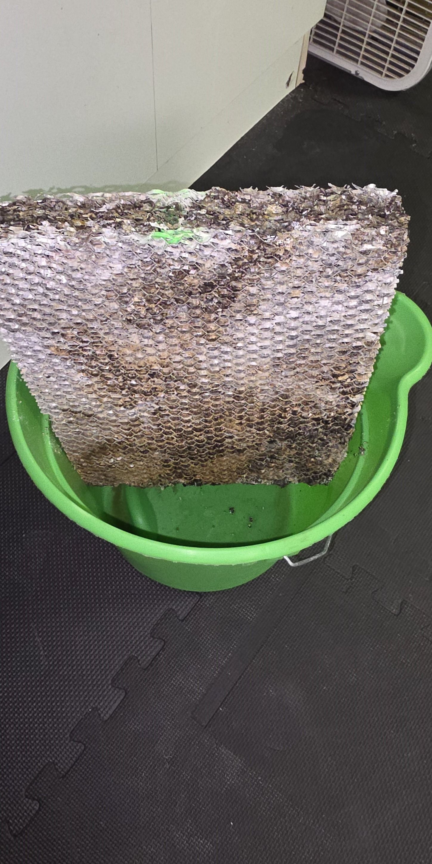 A dirty air cooler filter sits in a green bucket on a black surface. A fan is visible in the background.