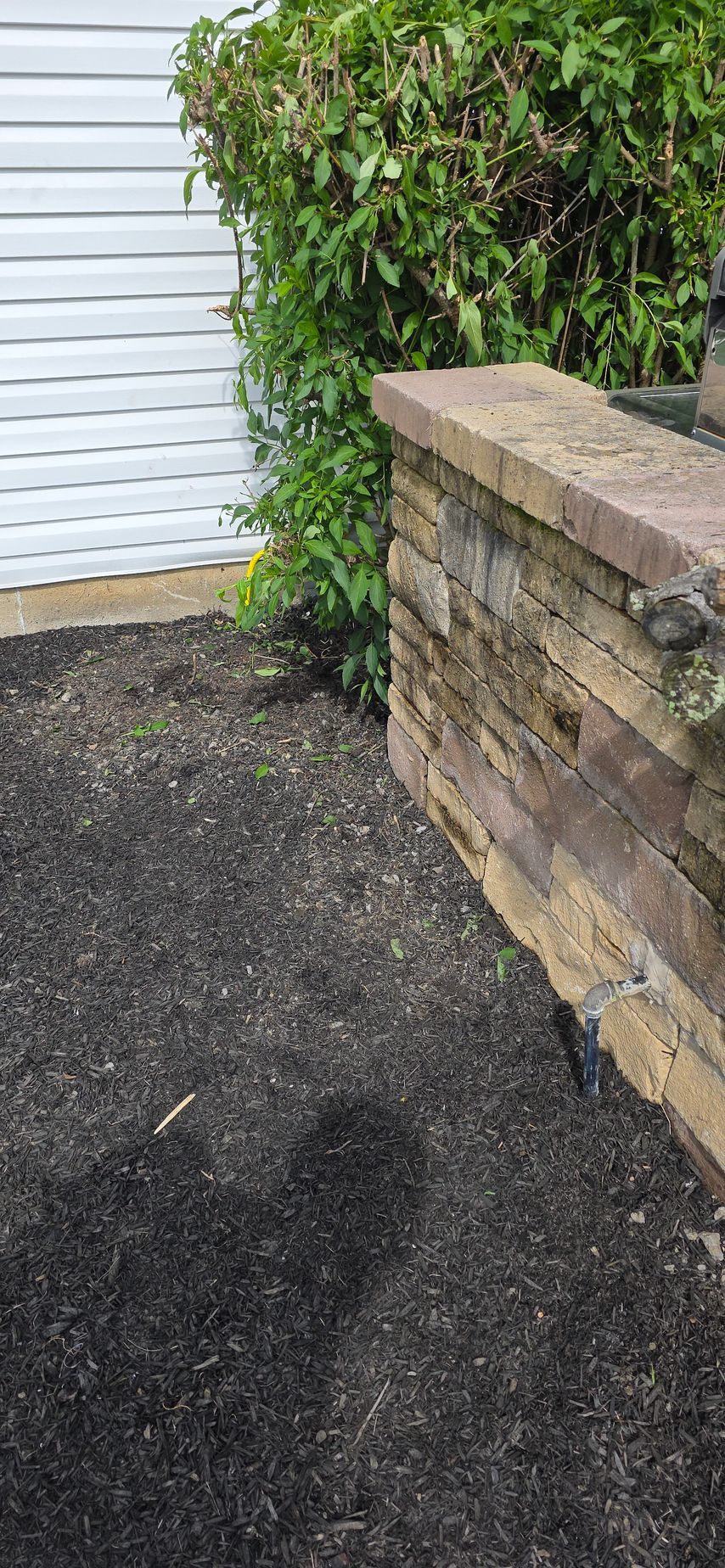 A freshly mulched garden bed next to a brick wall and a white-sided building.