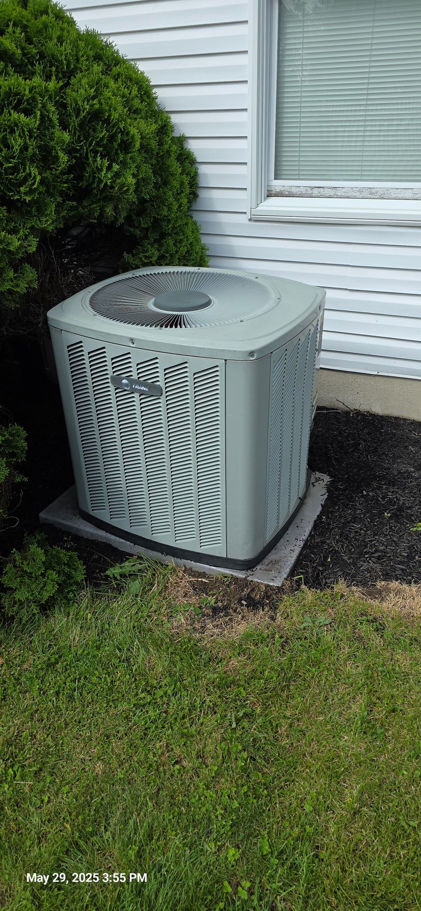 An air conditioner unit next to a house and a bush on a bed of mulch and grass.