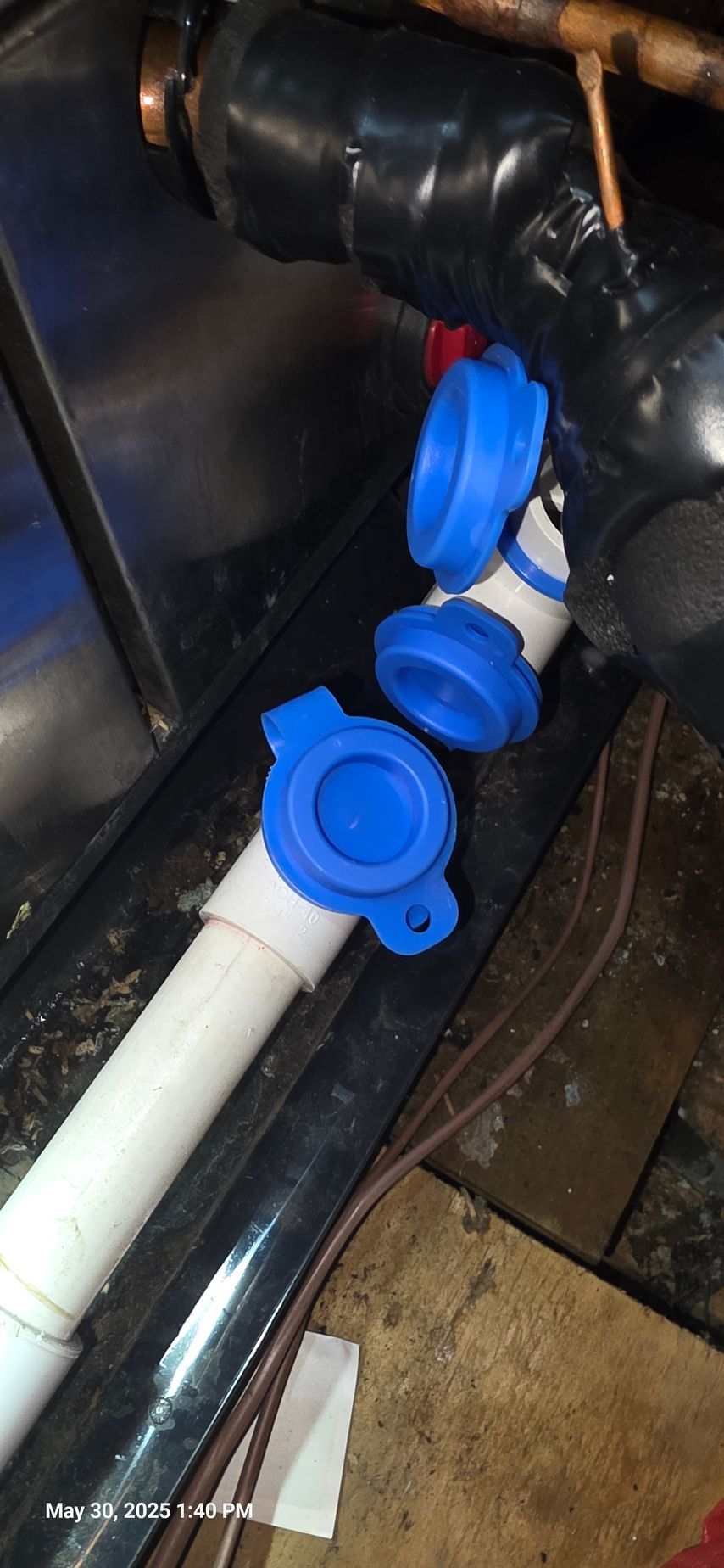 White PVC pipes with blue capped openings connected to black plumbing.