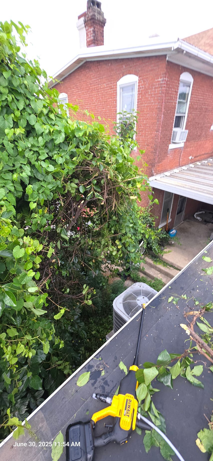 View of a brick building with overgrown vegetation. Tool on rooftop.