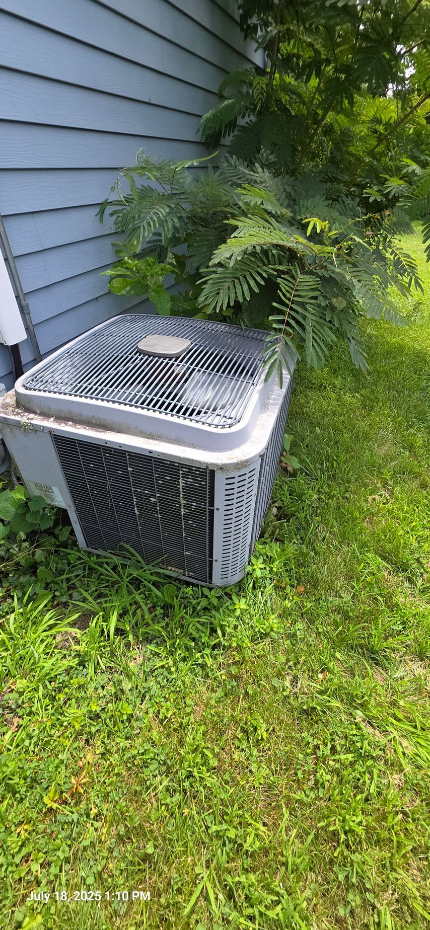An air conditioning unit sits next to a blue house and overgrown greenery in a grassy yard.