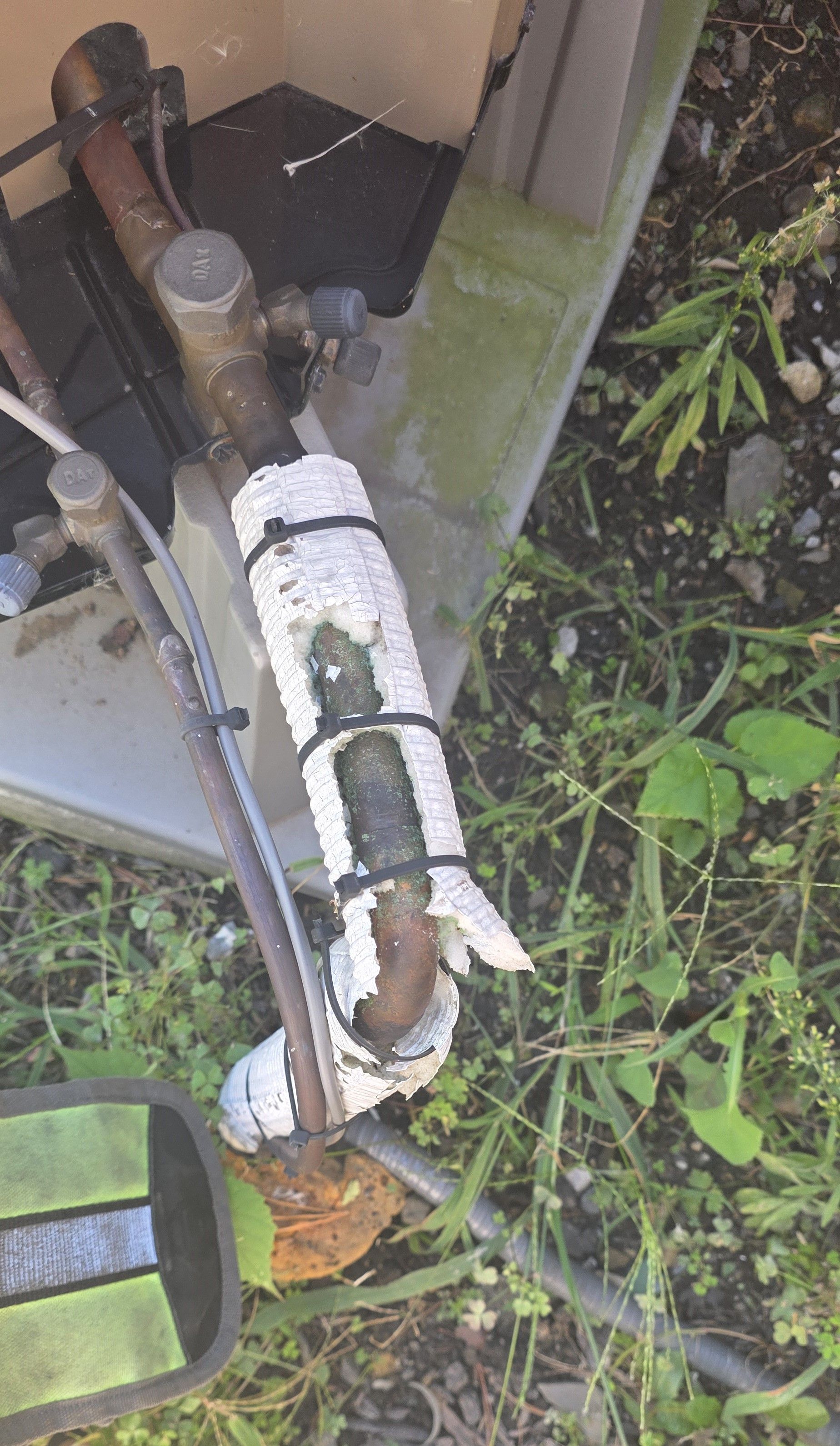 Rusty metal pipes with white insulation, outdoors near green foliage.