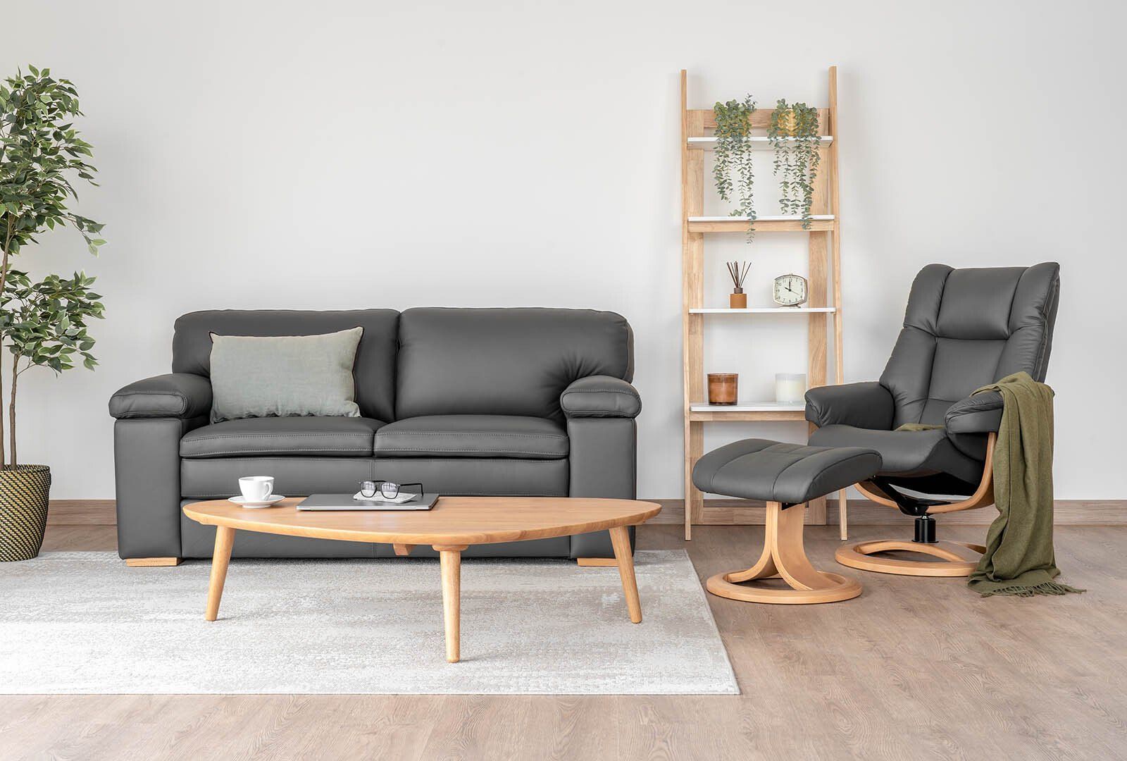 Living Room With Recliner, Wooden Coffee Table, and Ladder Shelf — Hastings Specialty Furniture In Port Macquarie, NSW