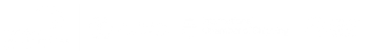 White space.