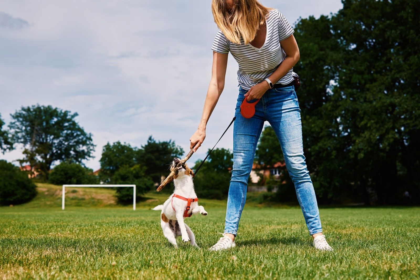 Woman in jeans playing fetch with a dog in a park.