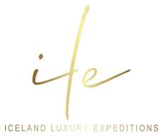 ILE logo