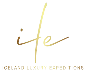 ILE logo