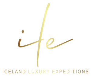 ILE logo