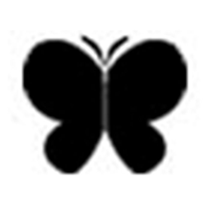 Attracts Butterflies