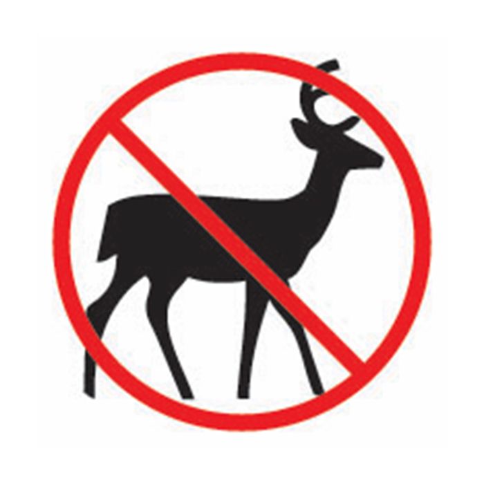 Deer Resistant