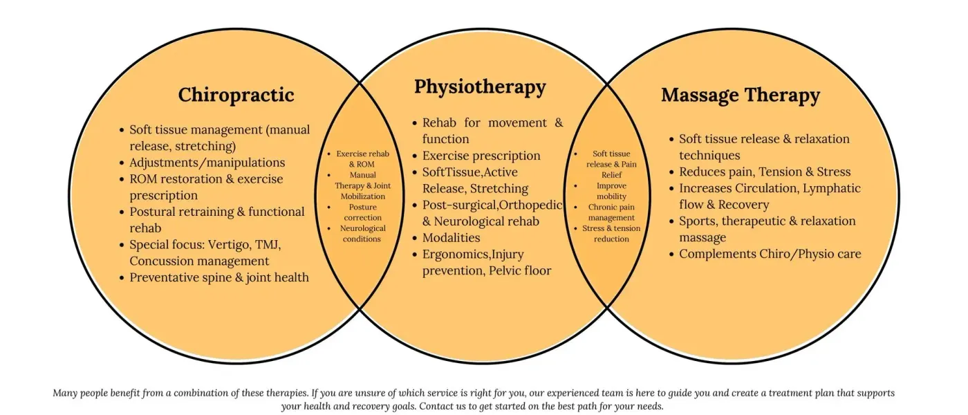Venn diagram comparing Chiropractic, Physiotherapy, and Massage Therapy. Overlapping areas show shared techniques.