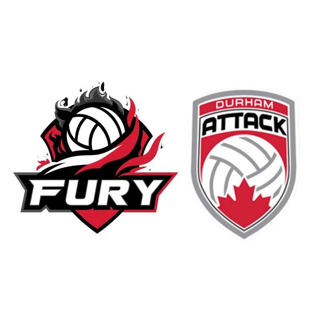 Two volleyball team logos: 