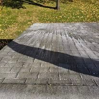 A roof with a lot of leaves on it and a shadow on it.