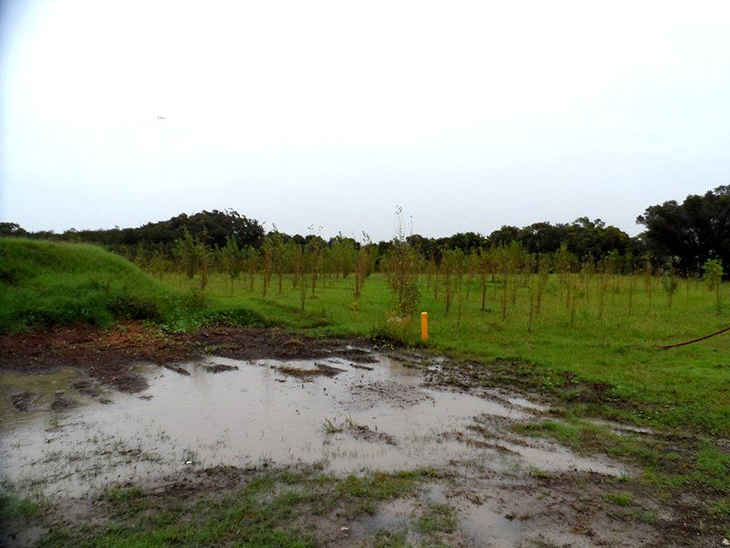 Contaminated Soil Removal — Woronora Heights, NSW — Mann's Earthmoving