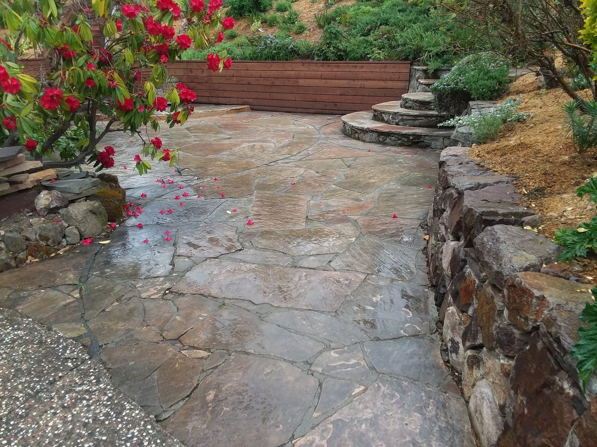 Stone patio with retaining walls, steps, and red flowering plant.