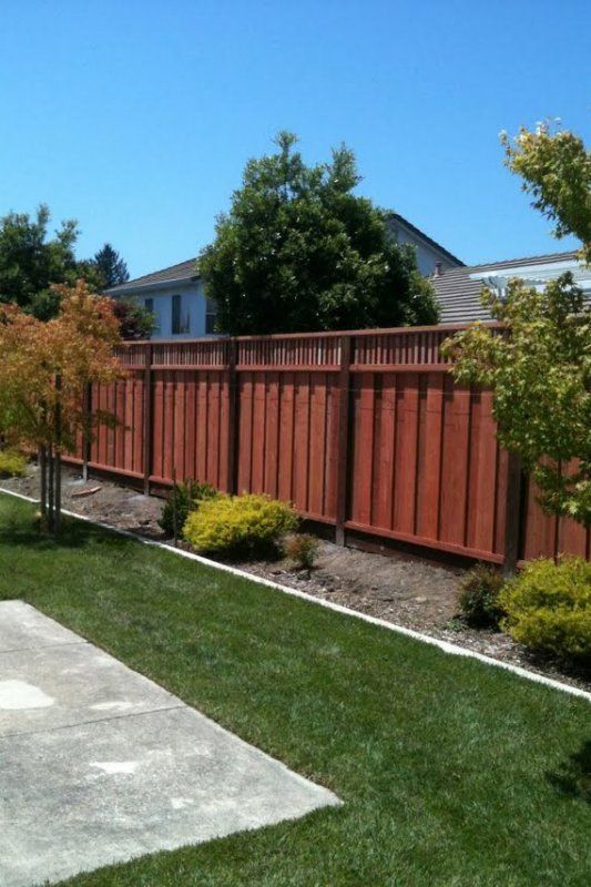 Wooden privacy fence bordering a grassy backyard, with small bushes and trees.