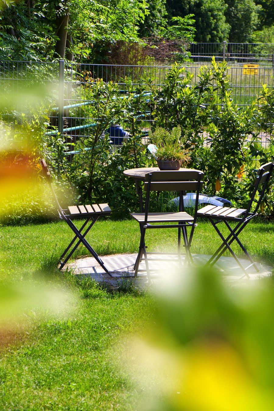 Phytotherapie Dr. Nina Schmid-Nozar - Impressionen Kräutergarten & Spazierweg