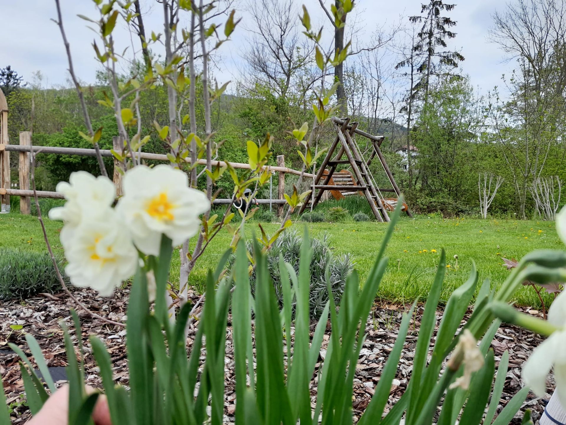 Phytotherapie Dr. Nina Schmid-Nozar - Impressionen Kräutergarten & Spazierweg