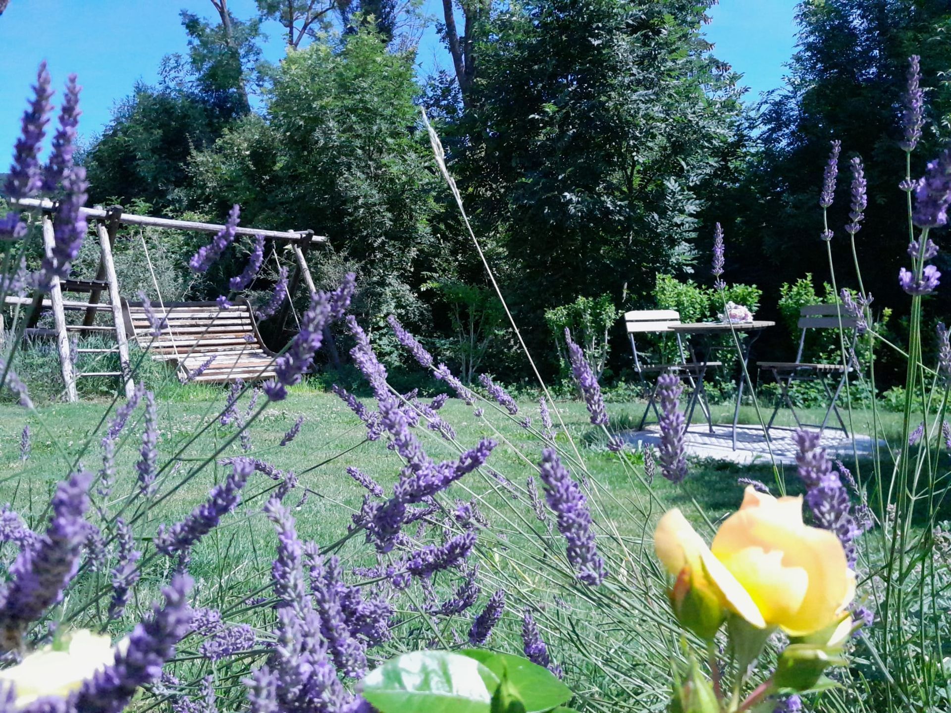 Phytotherapie Dr. Nina Schmid-Nozar - Impressionen Kräutergarten & Spazierweg