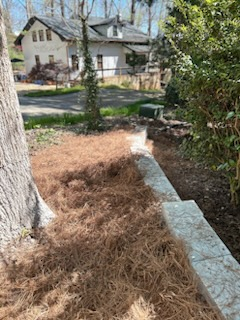 A pile of pine needles is sitting next to a tree in a yard.