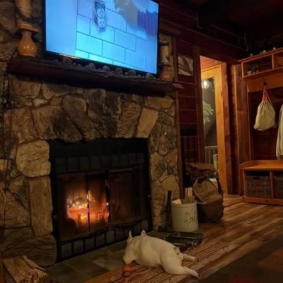 A white dog lies on the floor in front of a stone fireplace with a glowing fire and a television above it.