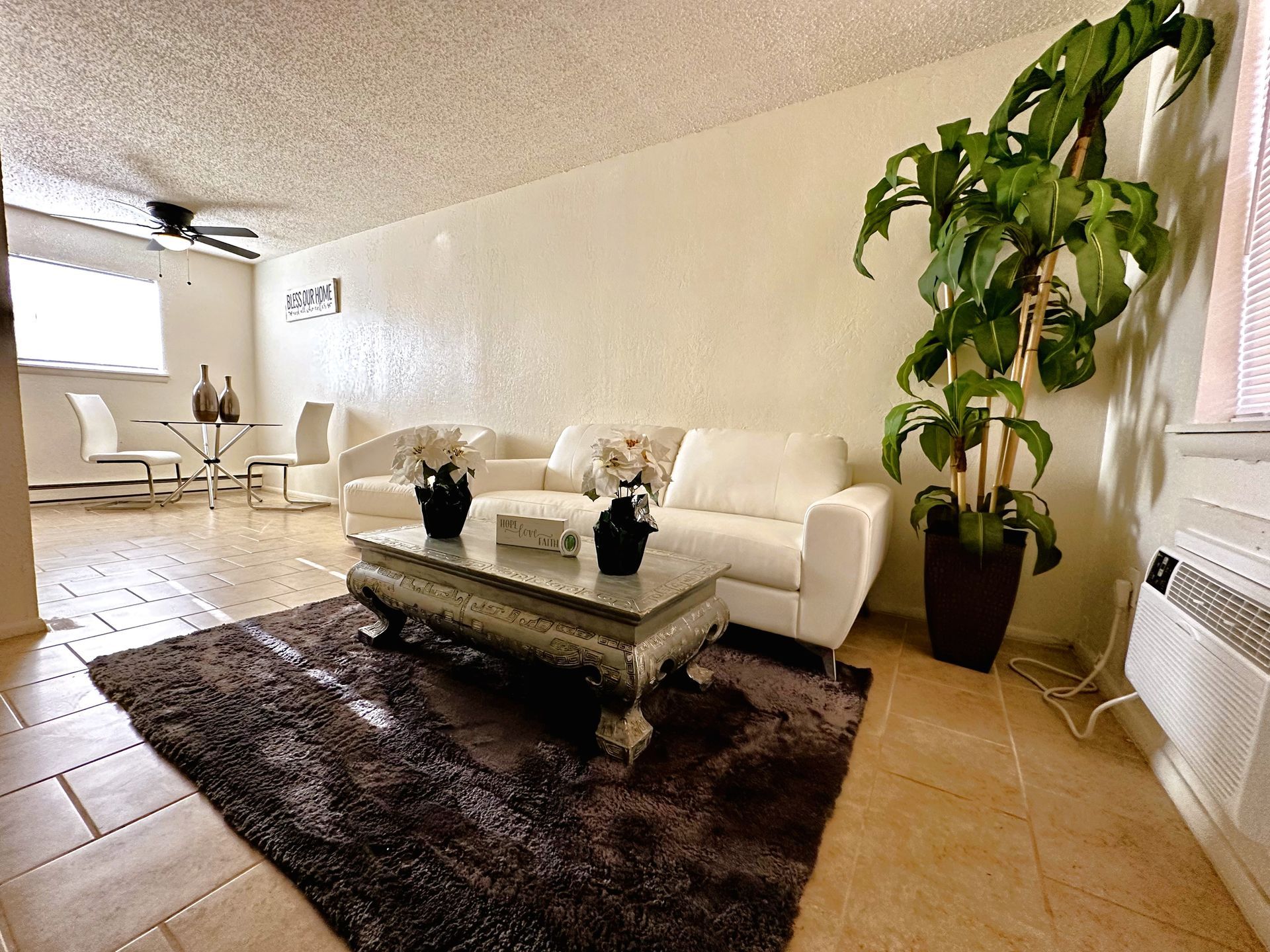 Living room with white sofa, brown rug, coffee table, and a large potted plant.