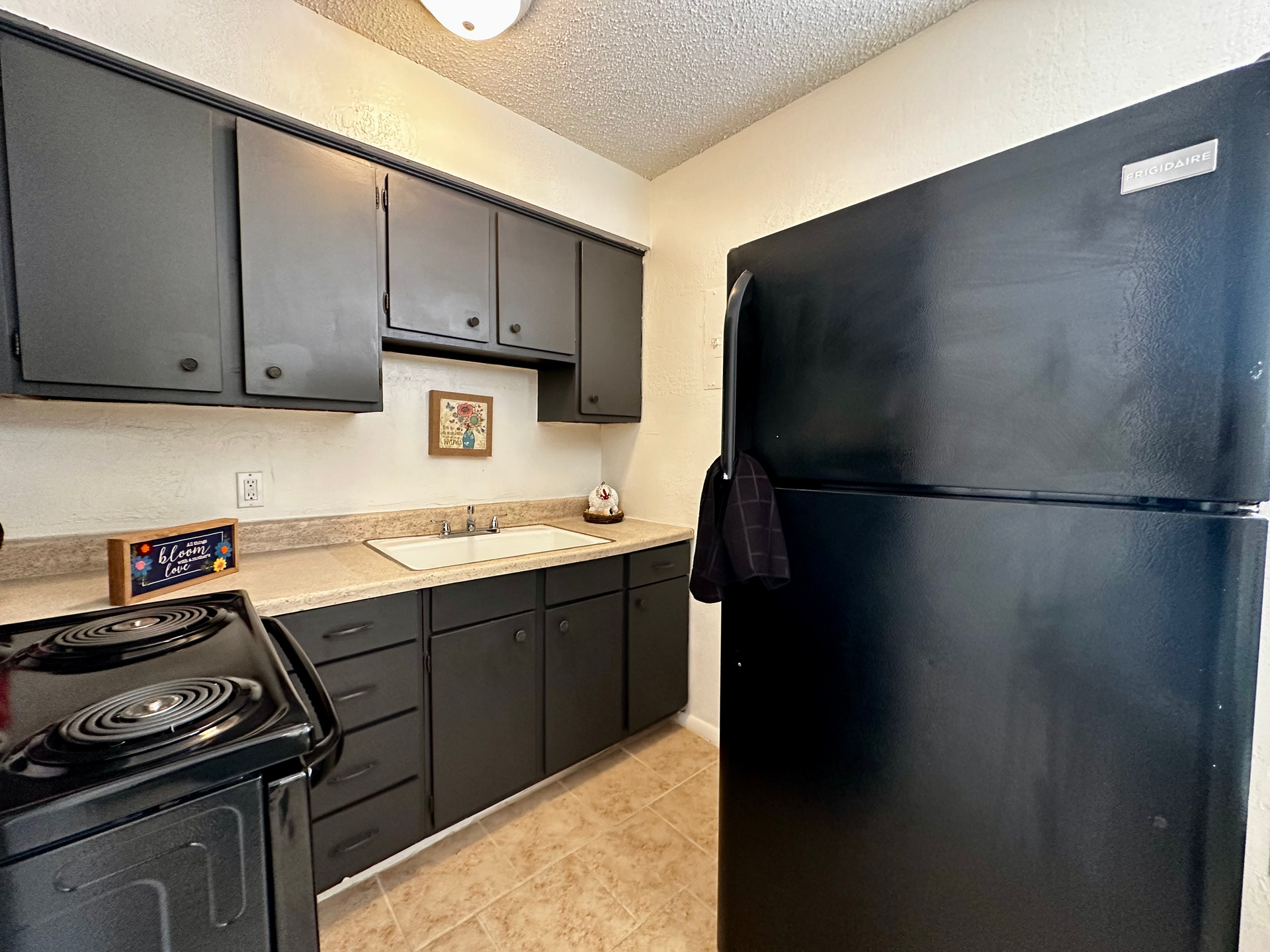 Black kitchen with stove, cabinets, fridge, and sink.