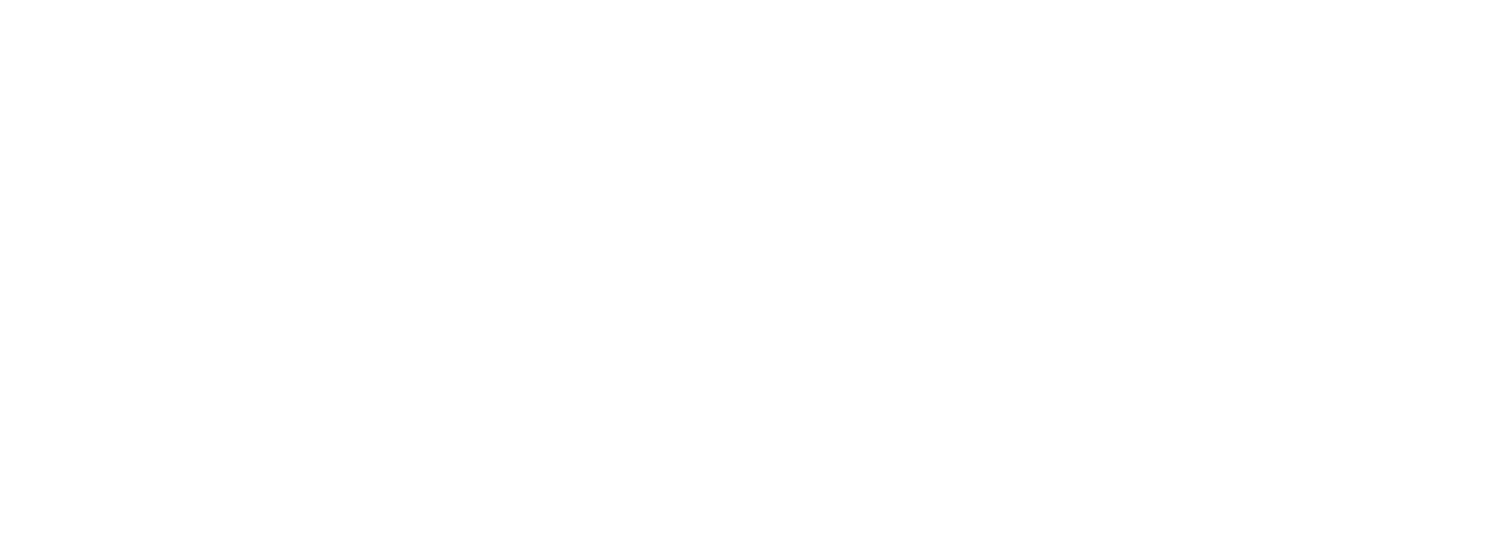 The District at Manhattan Logo