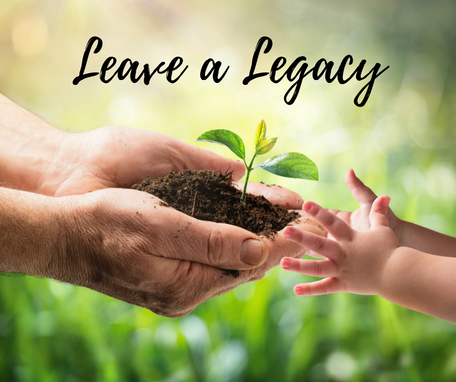 Adult hands holding dirt with a small plant and a child's hands reaching for it.