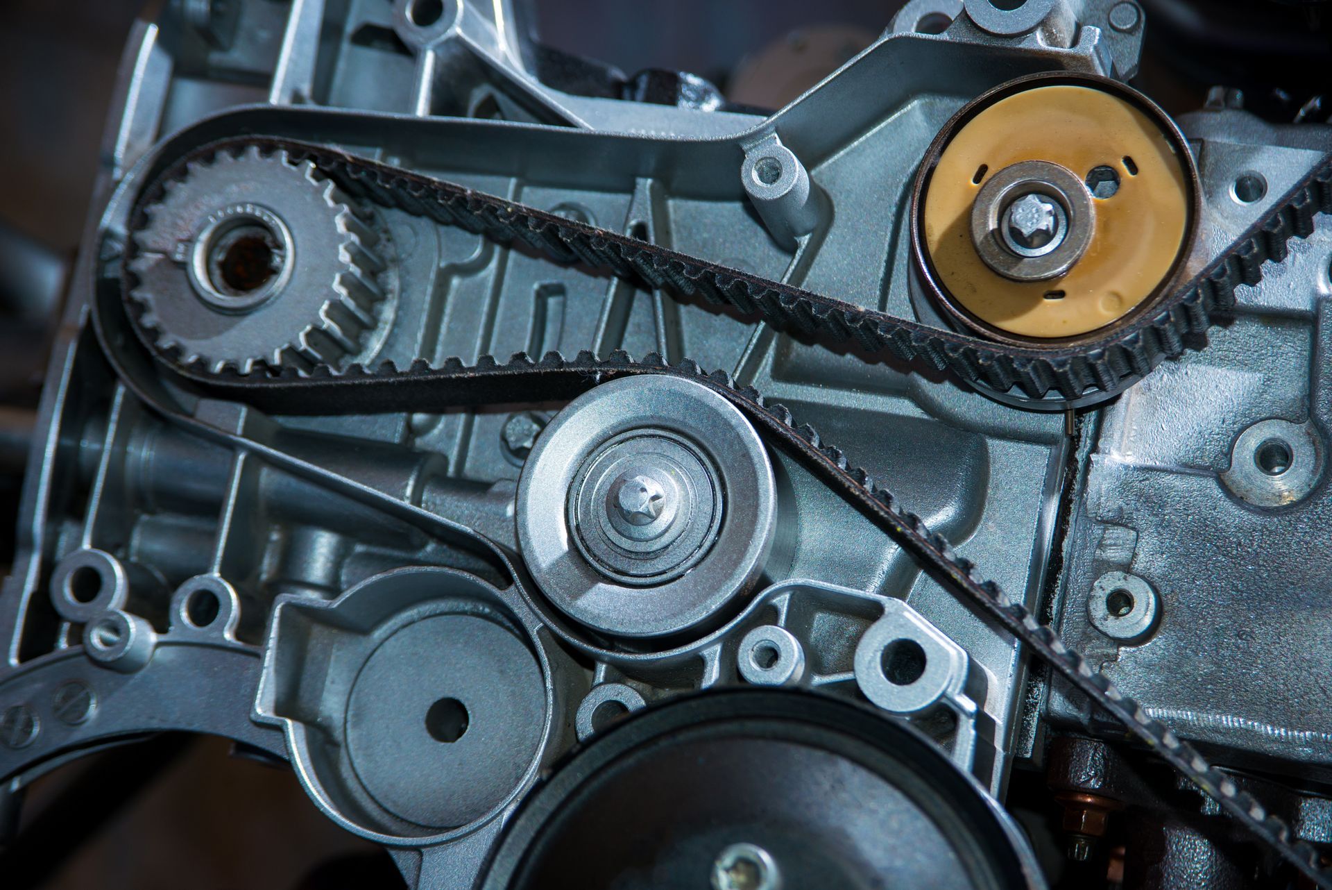 The Differences Between a Serpentine Belt vs. Timing Belt | Shift'N Gears Auto Repair